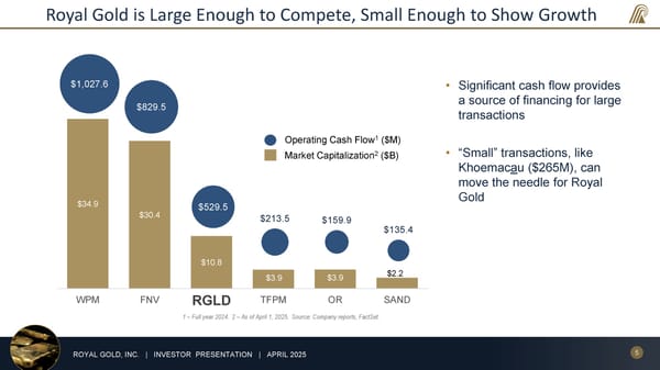 April 2025 Investor Presentation - Page 5