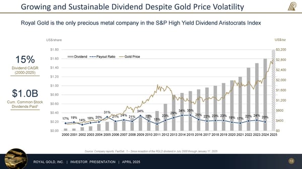 April 2025 Investor Presentation - Page 13