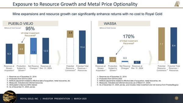 March 2025 Investor Presentation - Page 17