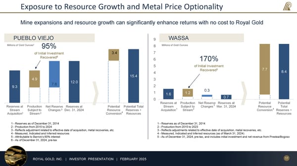 February 2025 Investor Presentation - Page 17