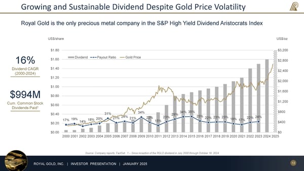 January 2025 Investor Presentation - Page 13