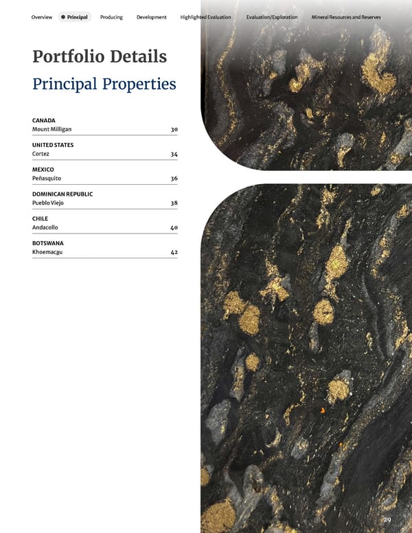 2023 Asset Handbook - Page 31